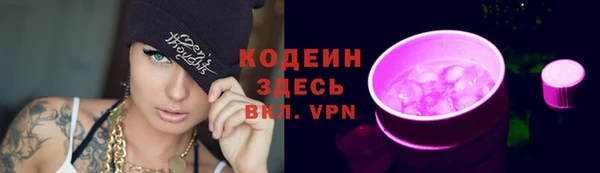 прущие грибы Вяземский