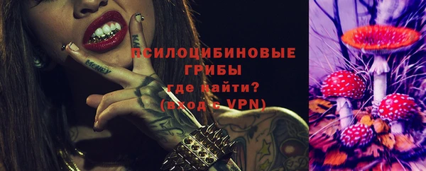 меф Горняк