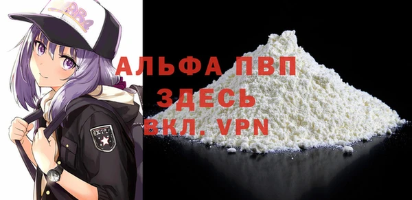 Альфа ПВП Горно-Алтайск